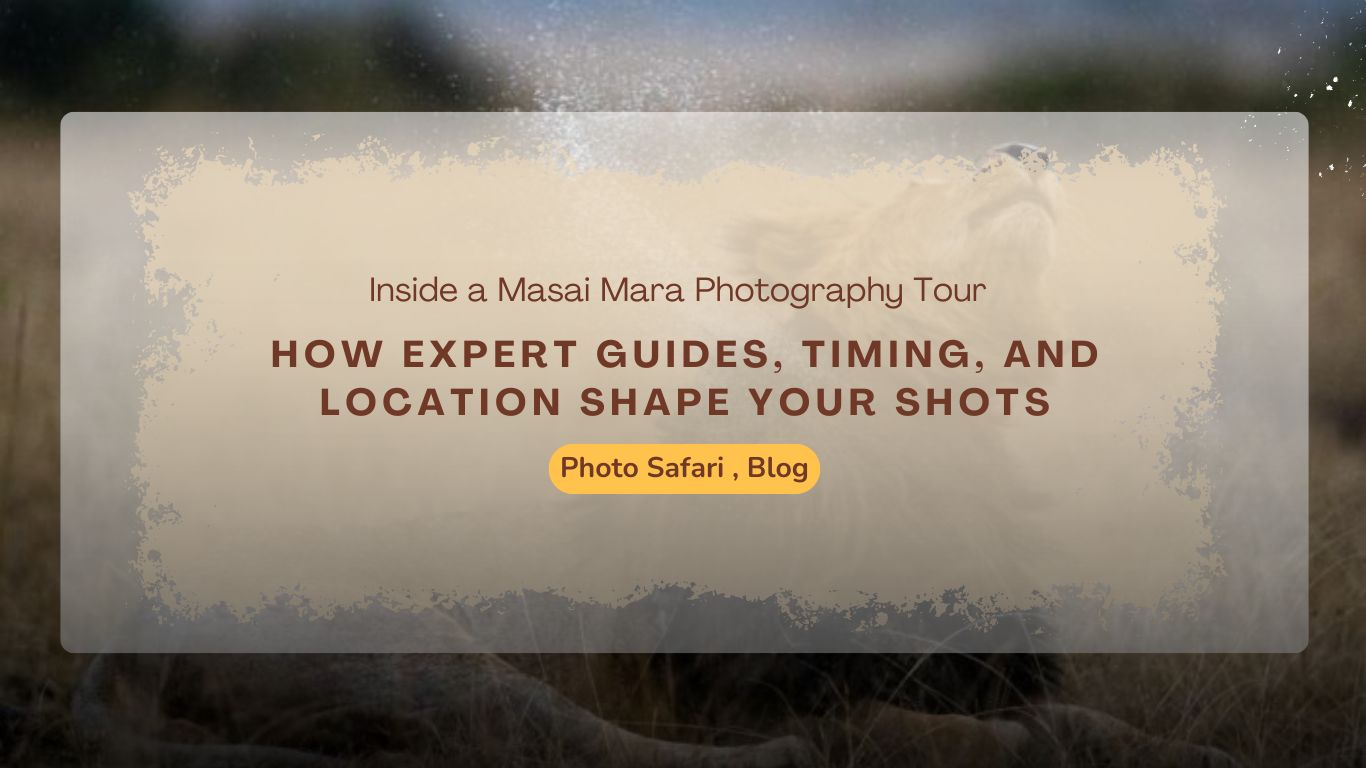 masai-mara-photography-tour-how-guides-timing-location-shape-shots