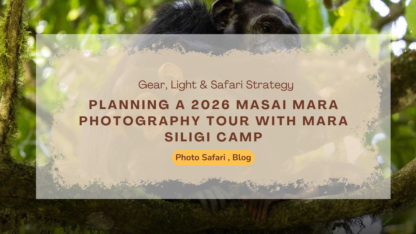 planning-a-2026-masai-mara-photography-tour-with-mara-siligi-camp