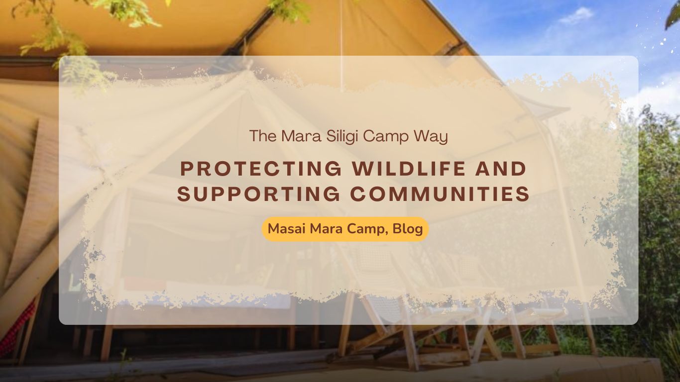 protecting-wildlife-and-supporting-communities-the-mara-siligi-camp-way