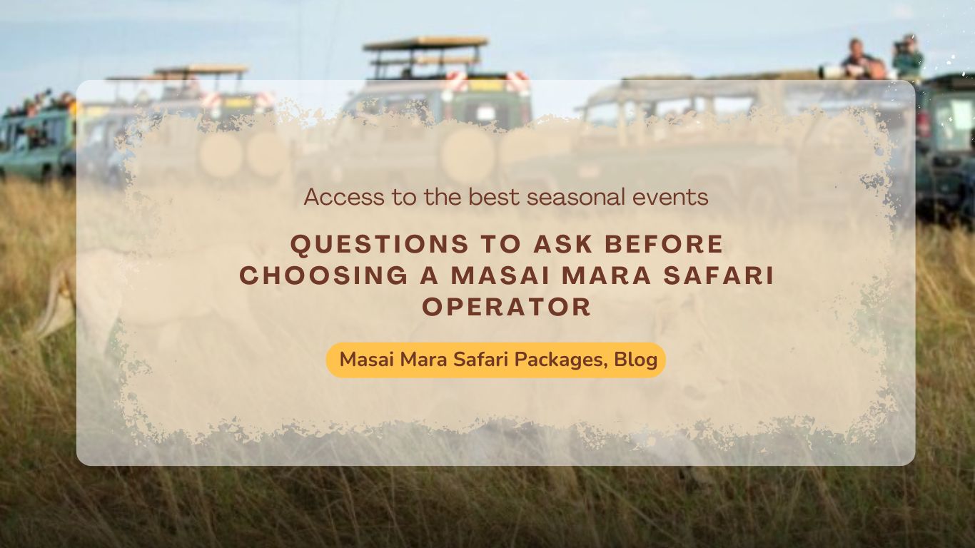 questions-to-ask-before-choosing-a-masai-mara-safari-operator