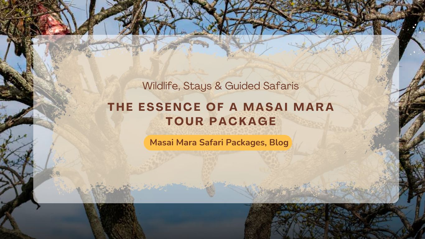 the-essence-of-a-masai-mara-tour-package-wildlife-stays-guided-safaris