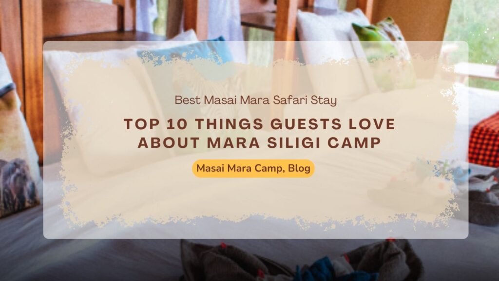 top-10-things-guests-love-about-mara-siligi-camp-best-masai-mara-safari-stay