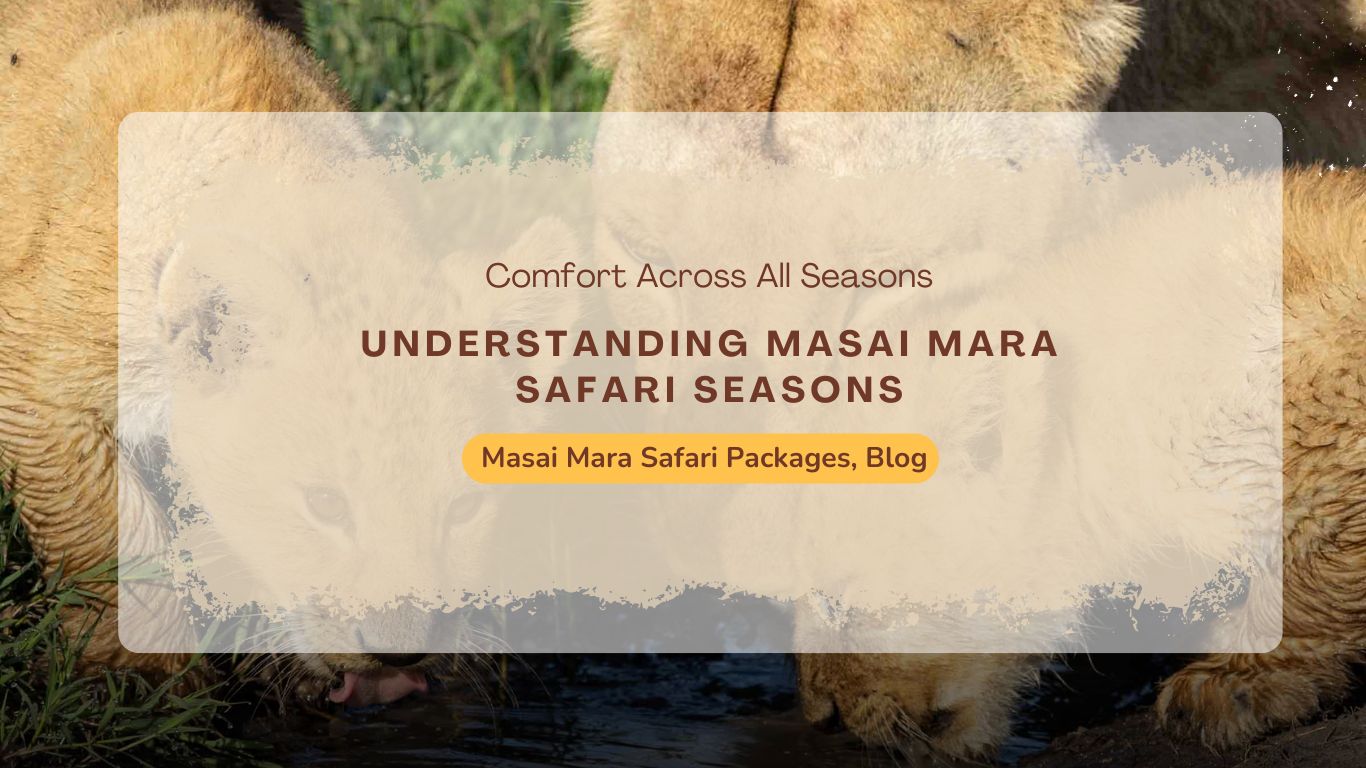 understanding-masai-mara-safari-seasons