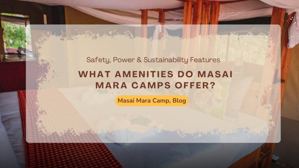 what-amenities-do-masai-mara-camps-offe