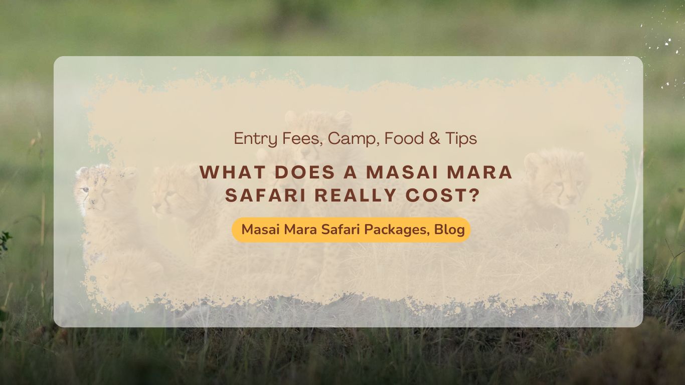 what-does-a-masai-mara-safari-really-cost-entry-fees-camp-food-&-tips