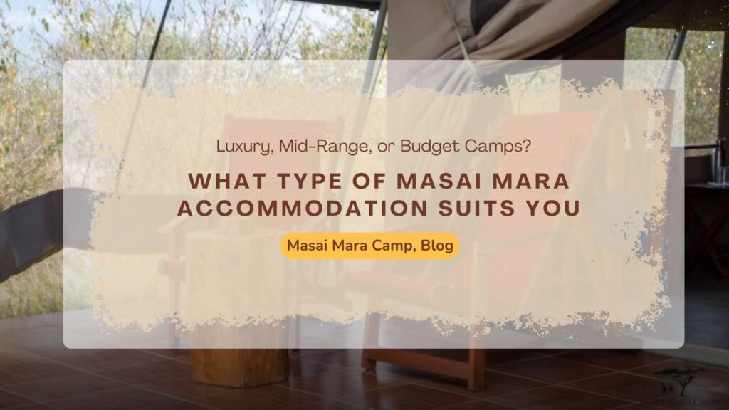 what-type-of-masai-mara-accommodation-suits-you