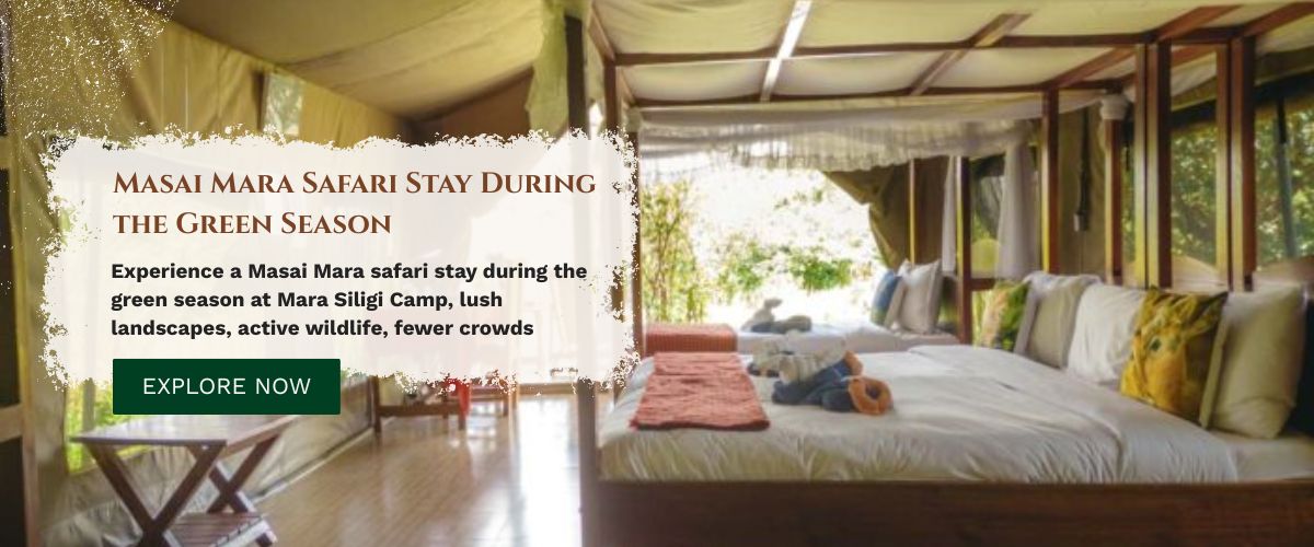 masai mara safari stay