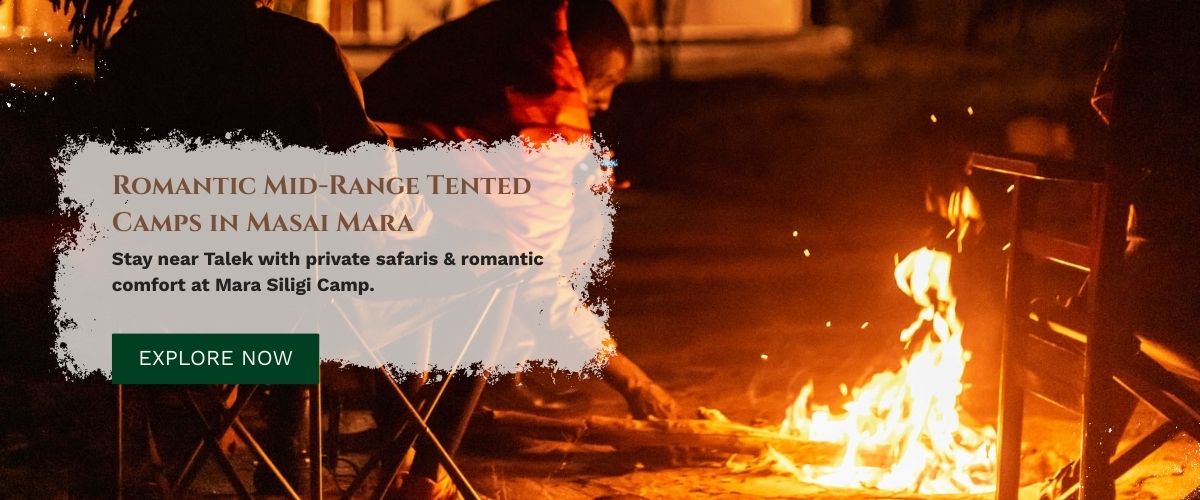 mid range tented camps in masai mara