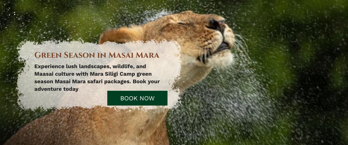 Masai Mara tour packages