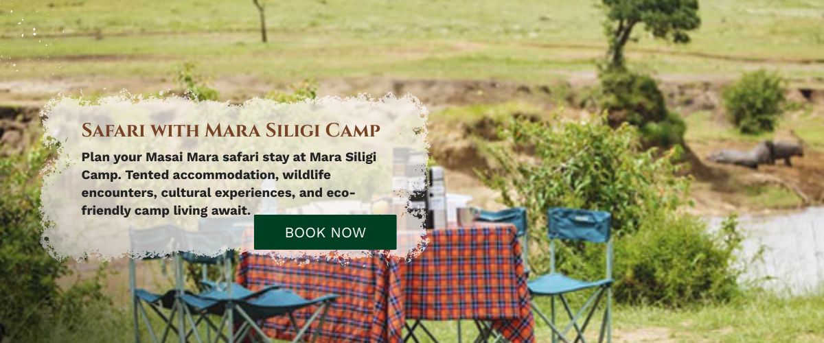 Mara Siligi Camp