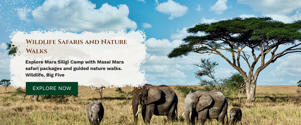 masai mara safari packages