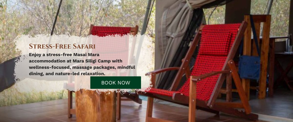 Masai Mara accommodation