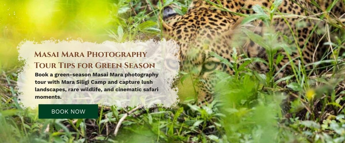 Masai Mara photography tour