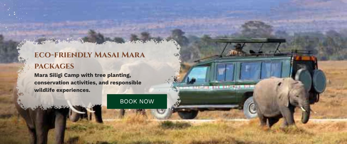 Masai Mara Packages