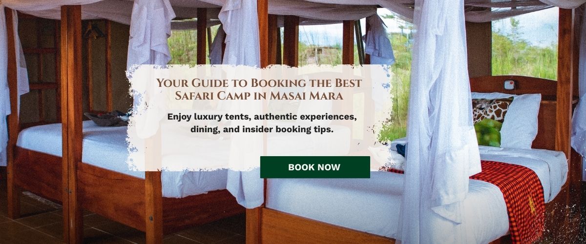 Safari Camp in Masai Mara