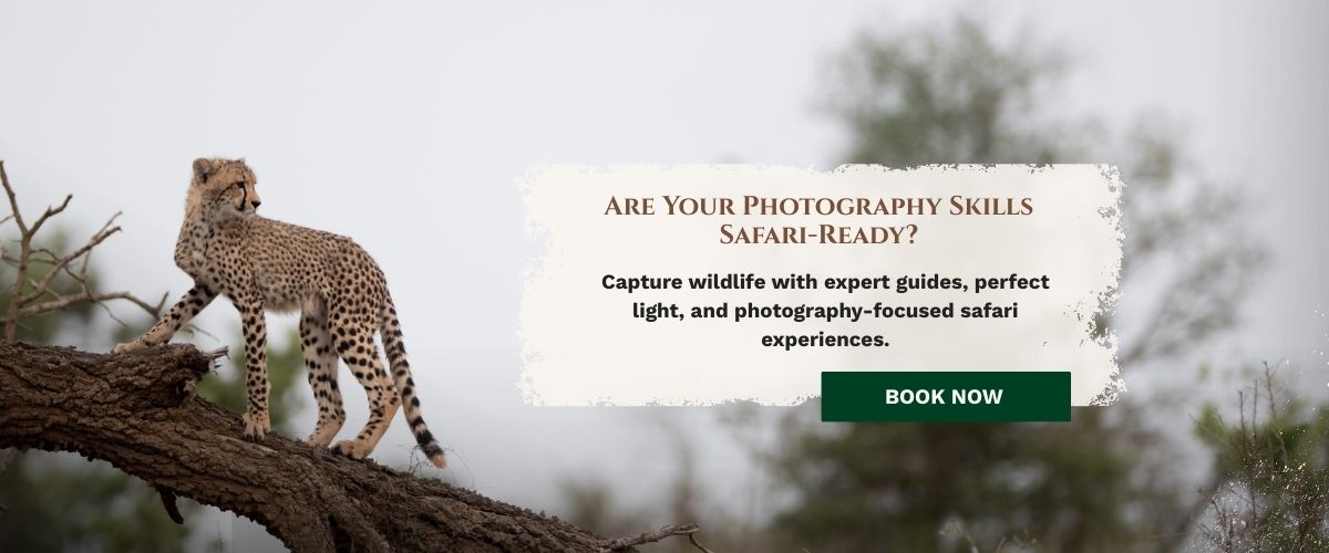 Masai Mara Photography Tour