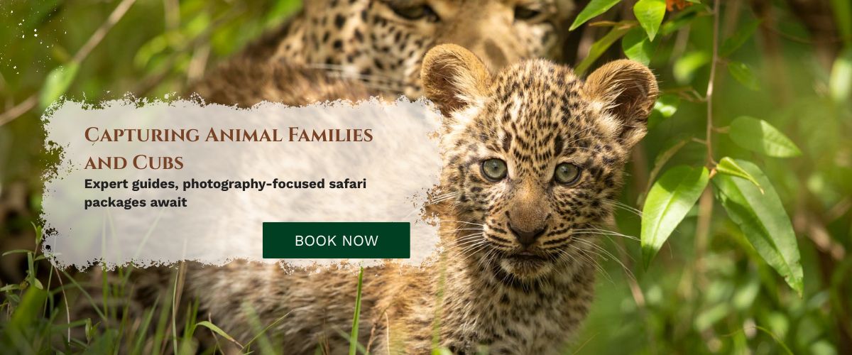 Masai Mara Photography Tour