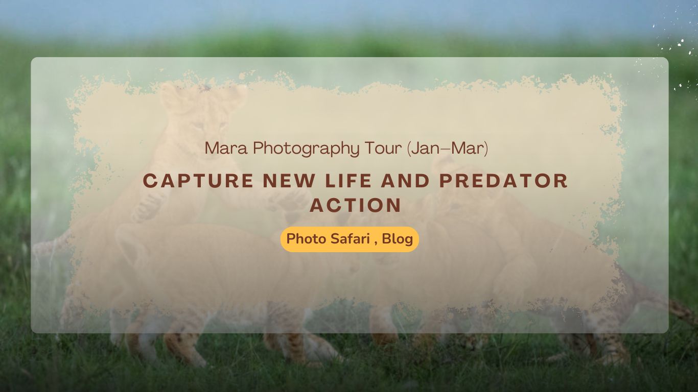 capture-new-life-and-predator-action-on-a-masai-mara-photography-tour