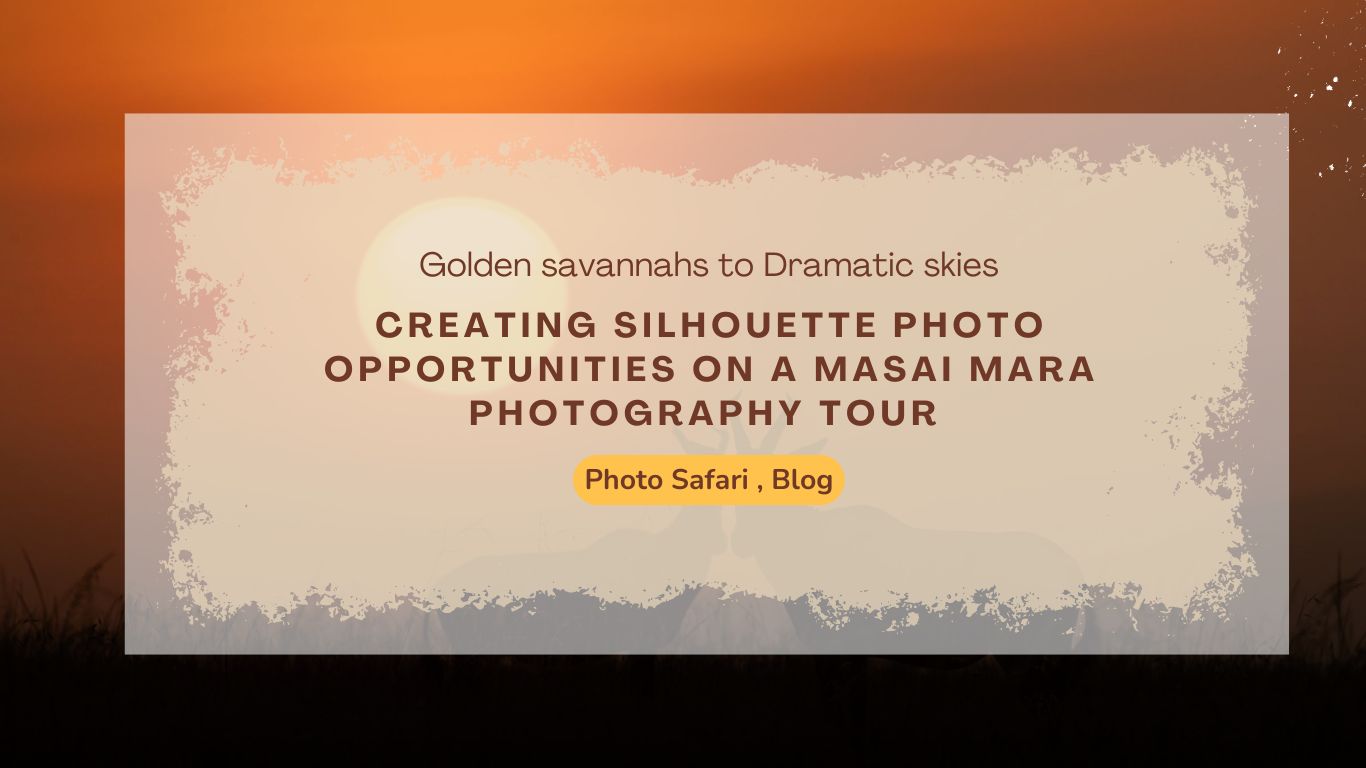 creating-silhouette-photo-opportunities-on-a-masai-mara-photography-tour-packages