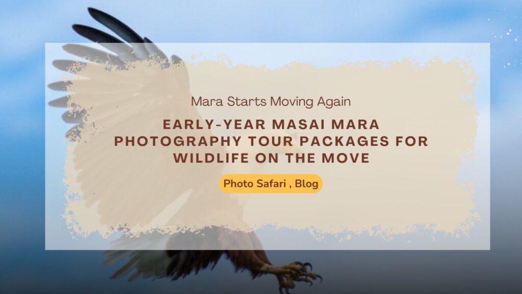 early-year-masai-mara-photography-tour-packages-for-wildlife-on-the-move