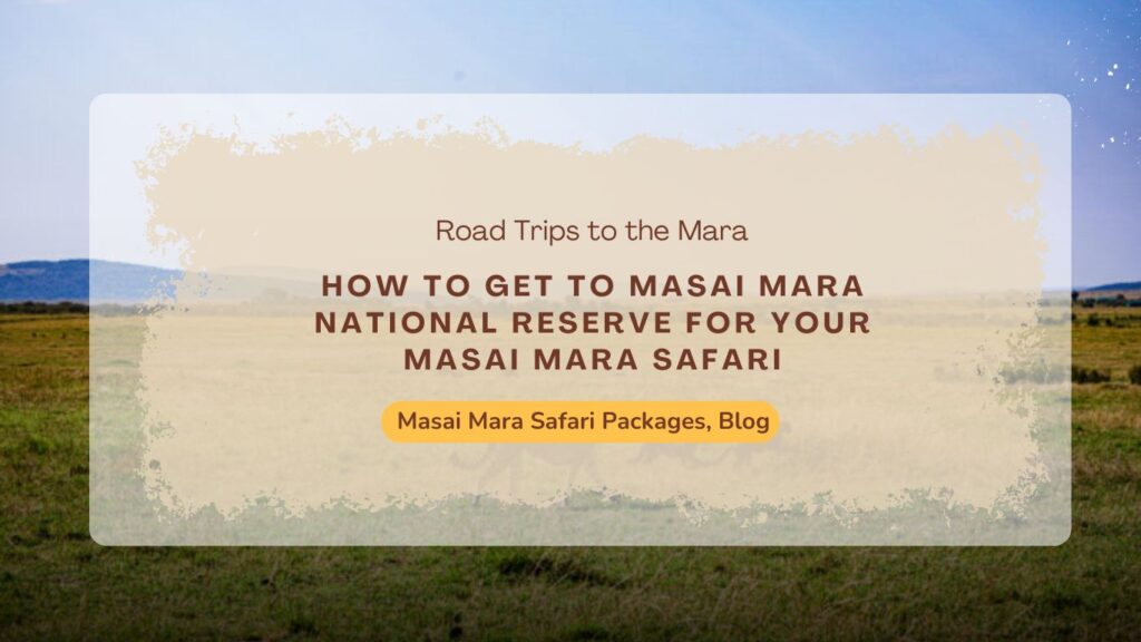 how-to-get-to-masai-mara-national-reserve-for-your-masai-mara-safari