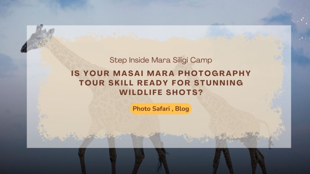 is-your-masai-mara-photography-tour-skill-ready-for-stunning-wildlife-shots