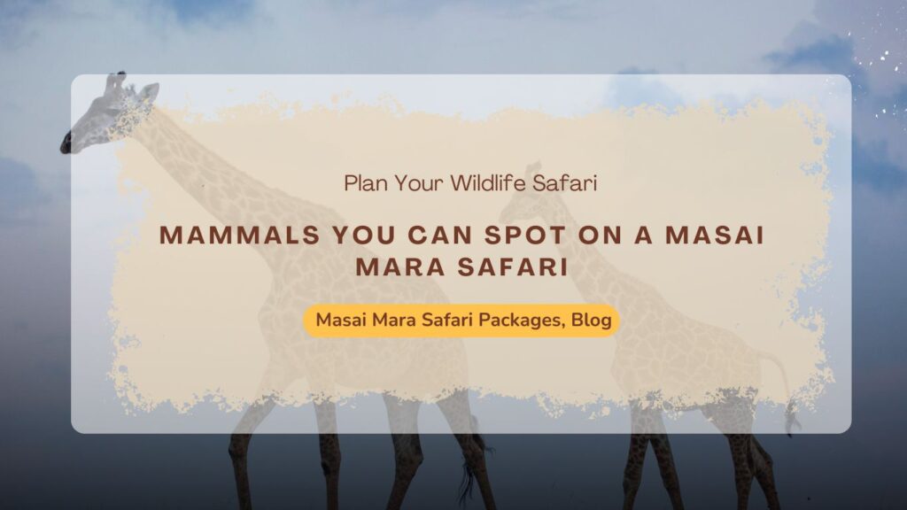 mammals-you-can-spot-on-a-masai-mara-safari