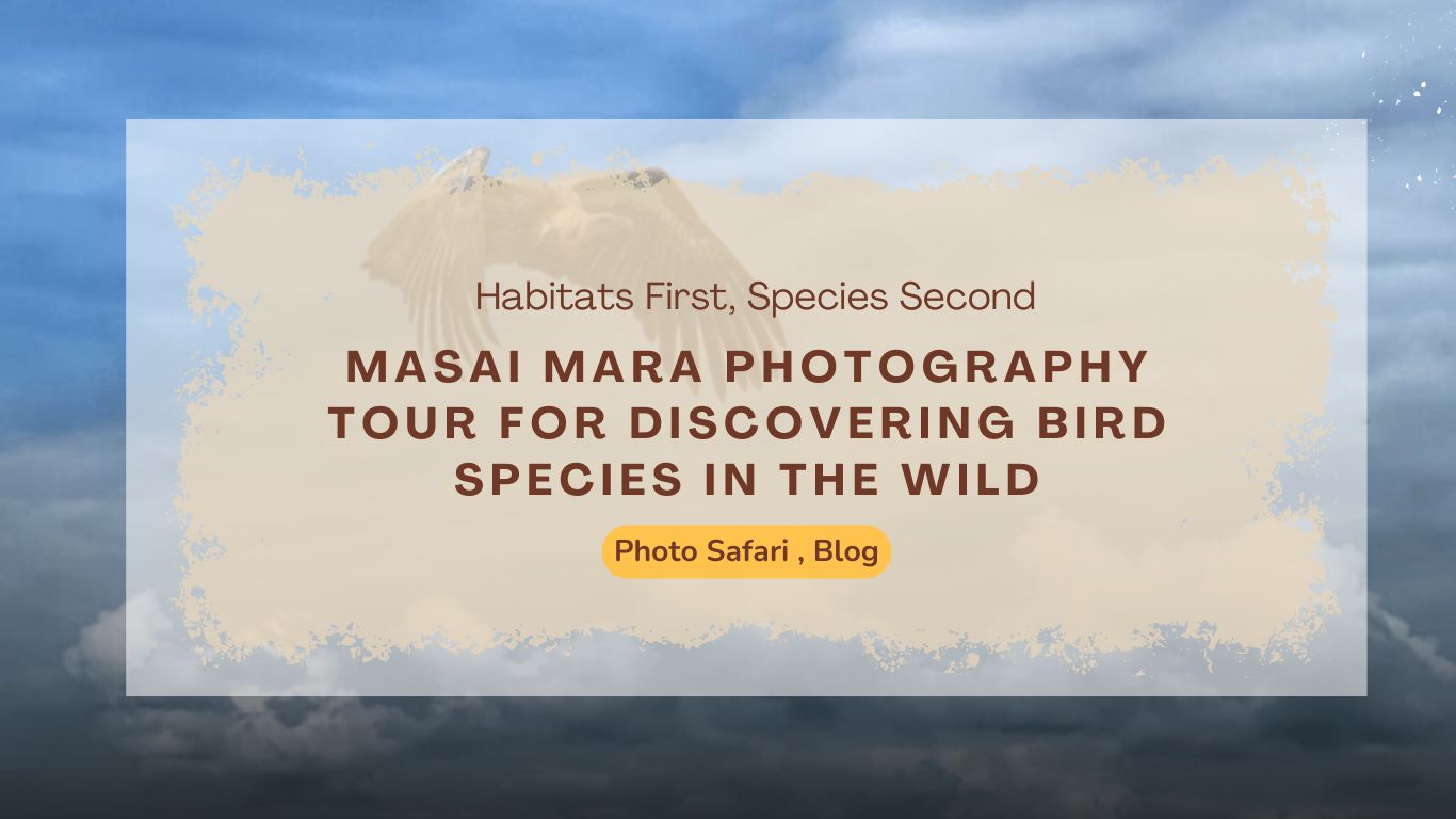 masai-mara-photography-tour-for-discovering-bird-species-in-the-wild