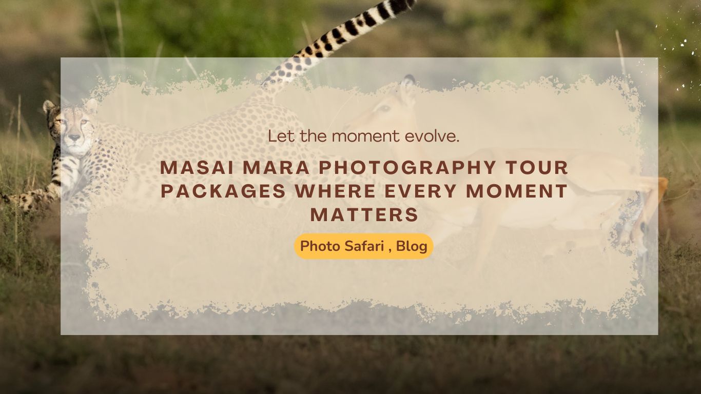 masai-mara-photography-tour-packages-where-every-moment-matters