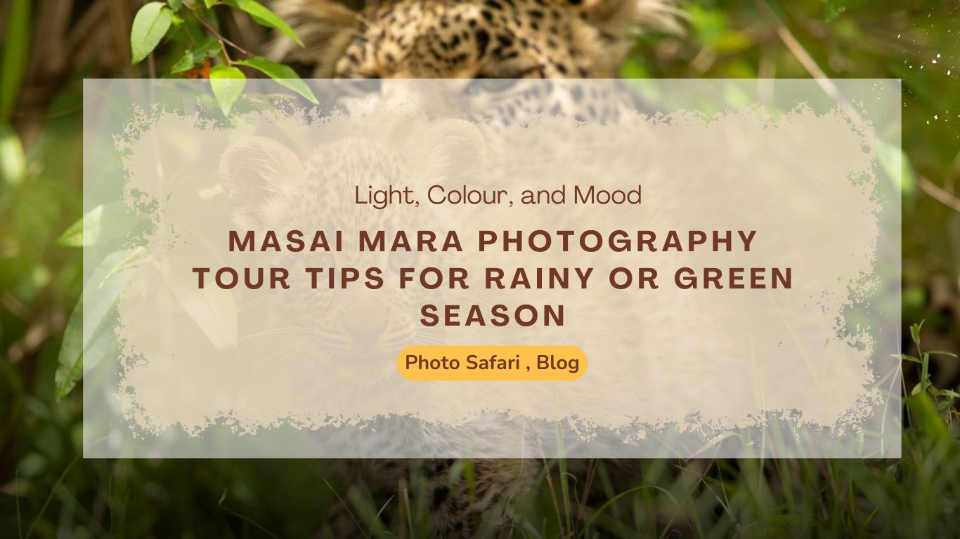 masai-mara-photography-tour-tips-for-rainy-or-green-season-in-masai-mara