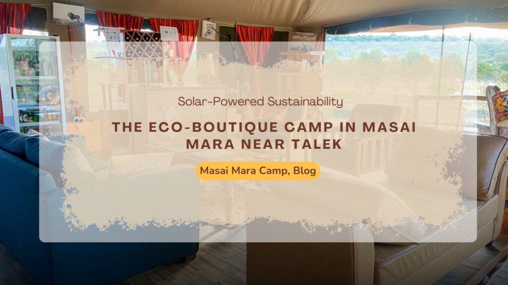 the-eco-boutique-camp-in-masai-mara-near-talek