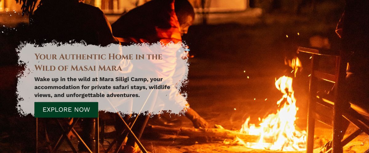 Mara Siligi Camp