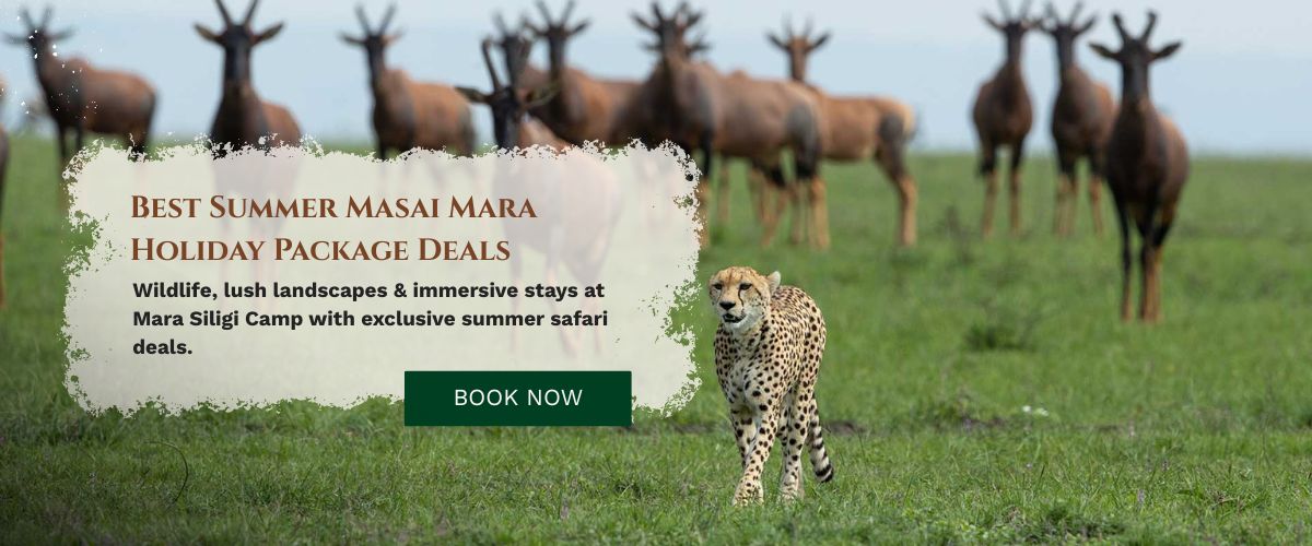 Masai Mara Holiday Package