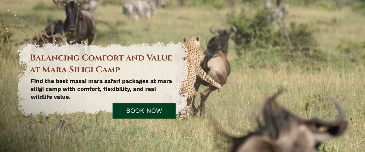 Masai Mara Travel Packages