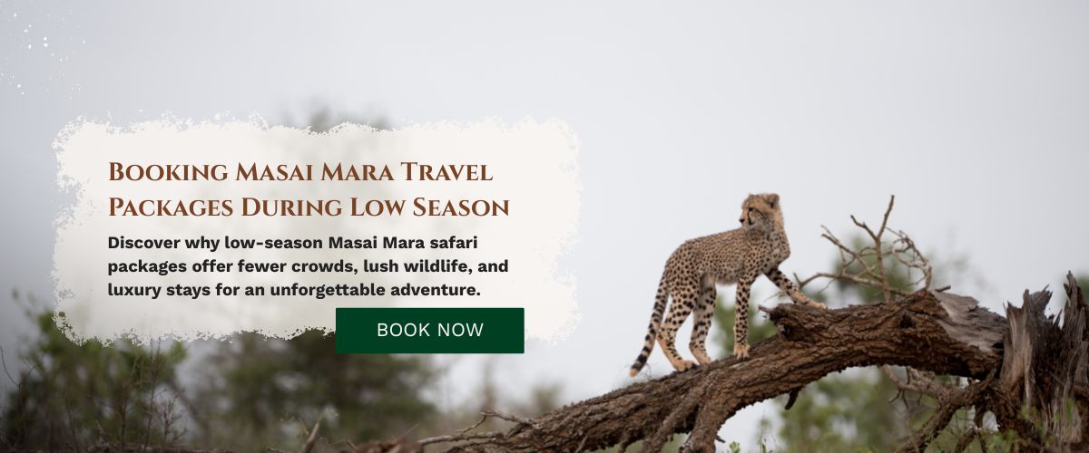 Masai Mara Safari Packages