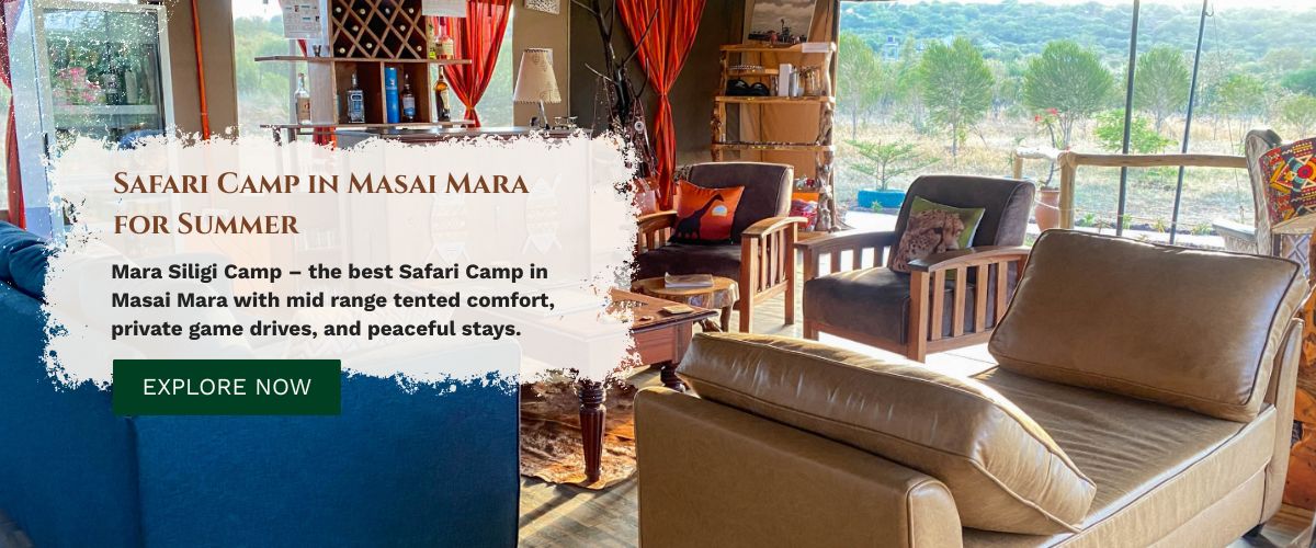 Safari Camp in Masai Mara