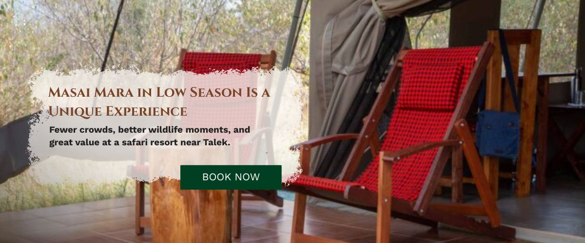 Masai Mara Camp and Lodge