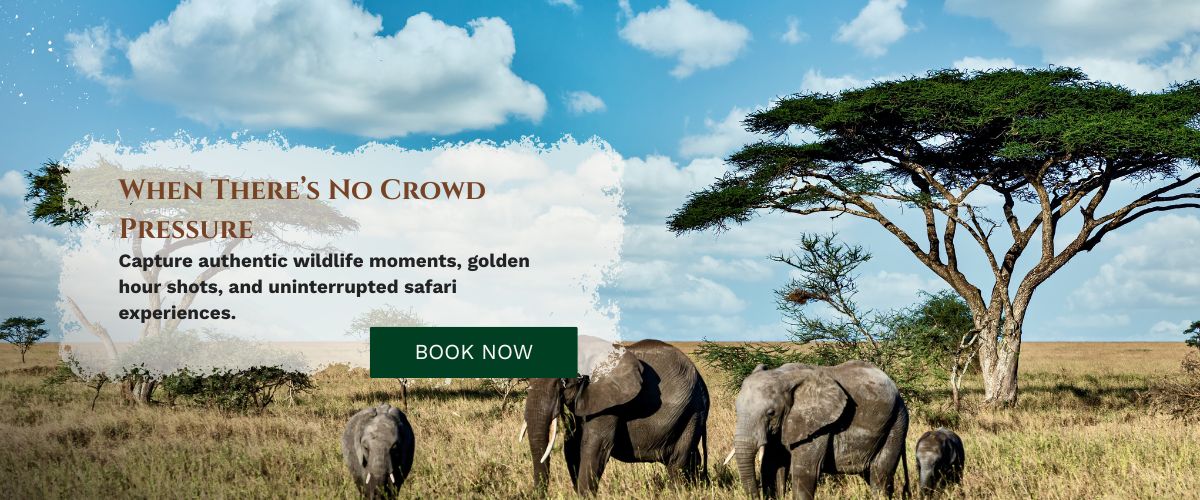 Masai Mara photography tour