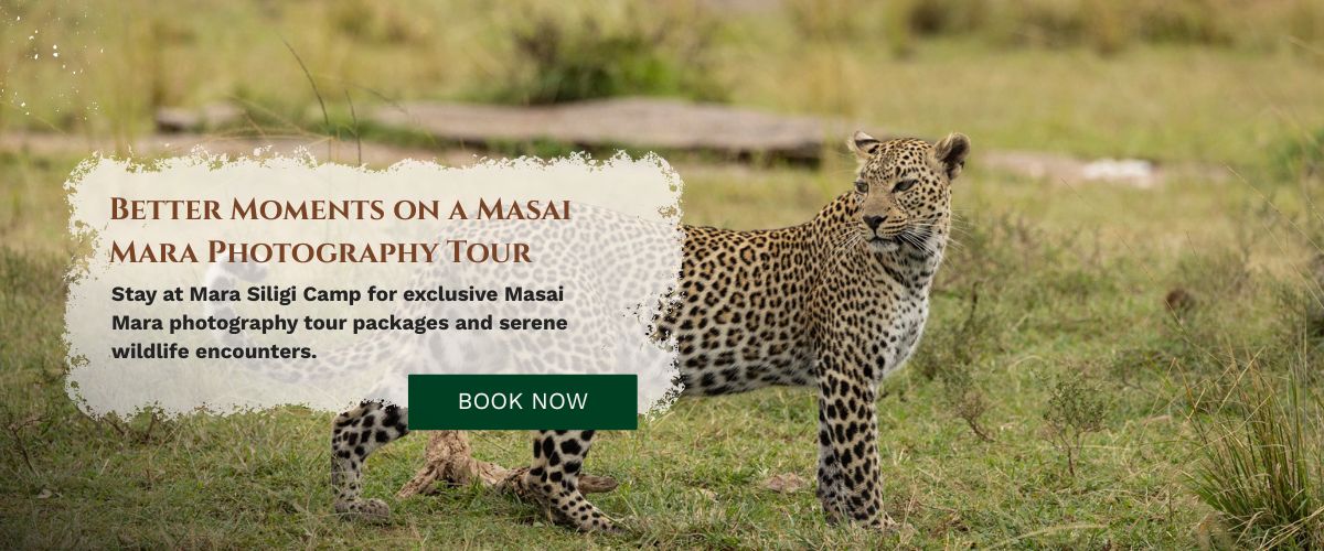 Masai Mara Photography Tour
