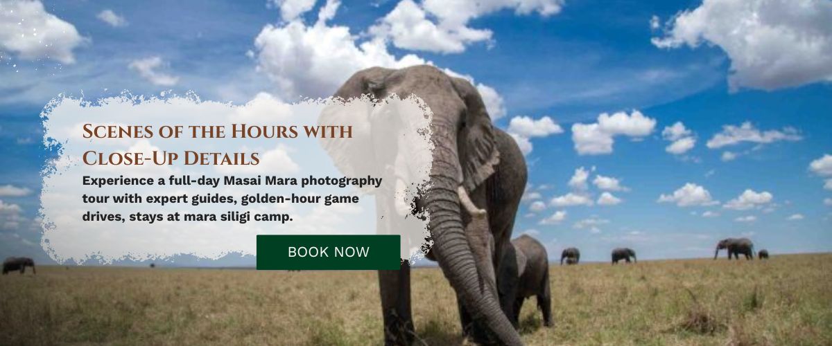 Masai Mara photography tour