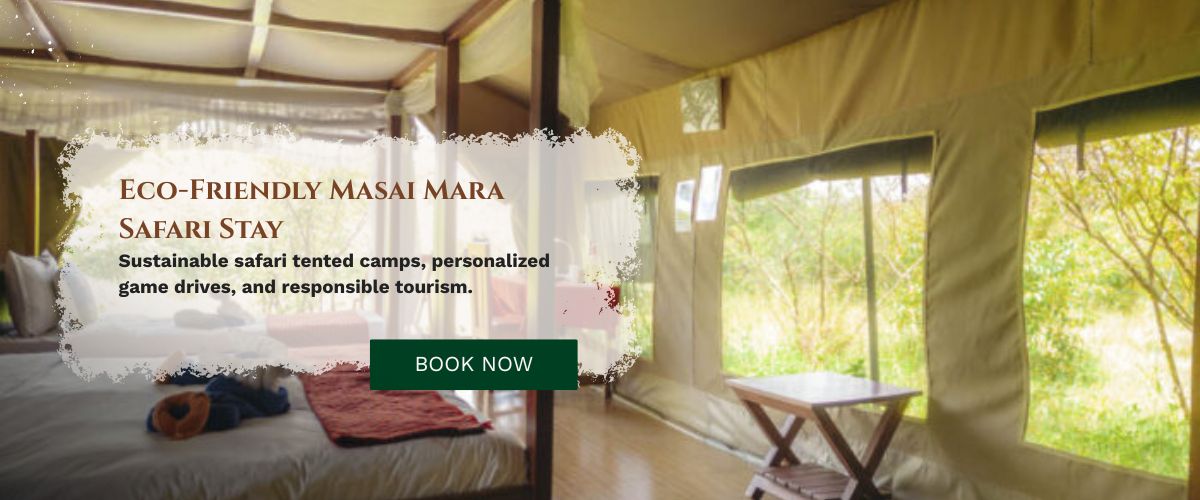 masai mara safari stay