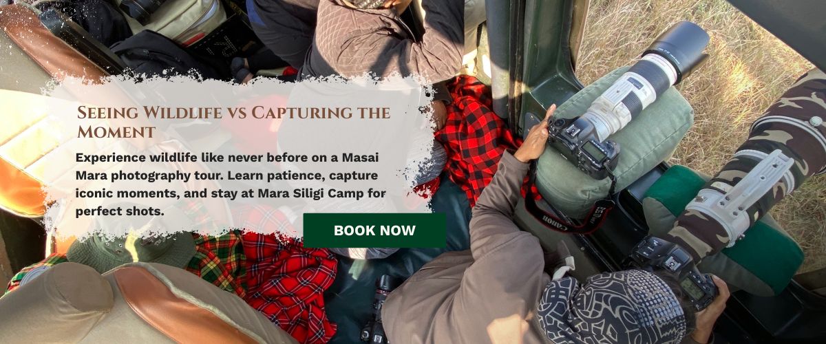 Masai Mara photography tour
