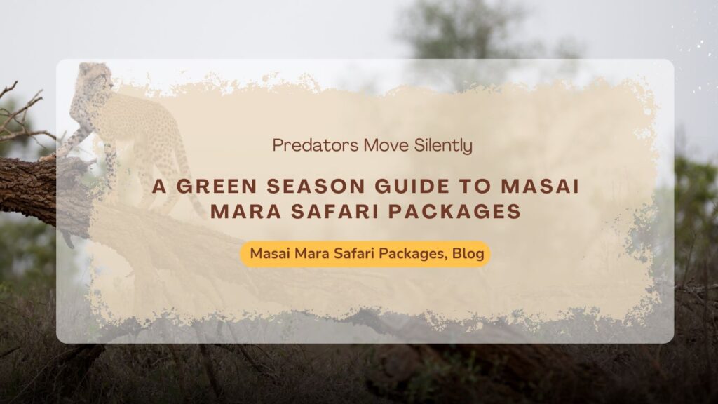 a-green-season-guide-to-masai-mara-safari-packages