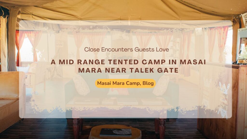 a-mid-range-tented-camp-in-masai-mara-near-talek-gate