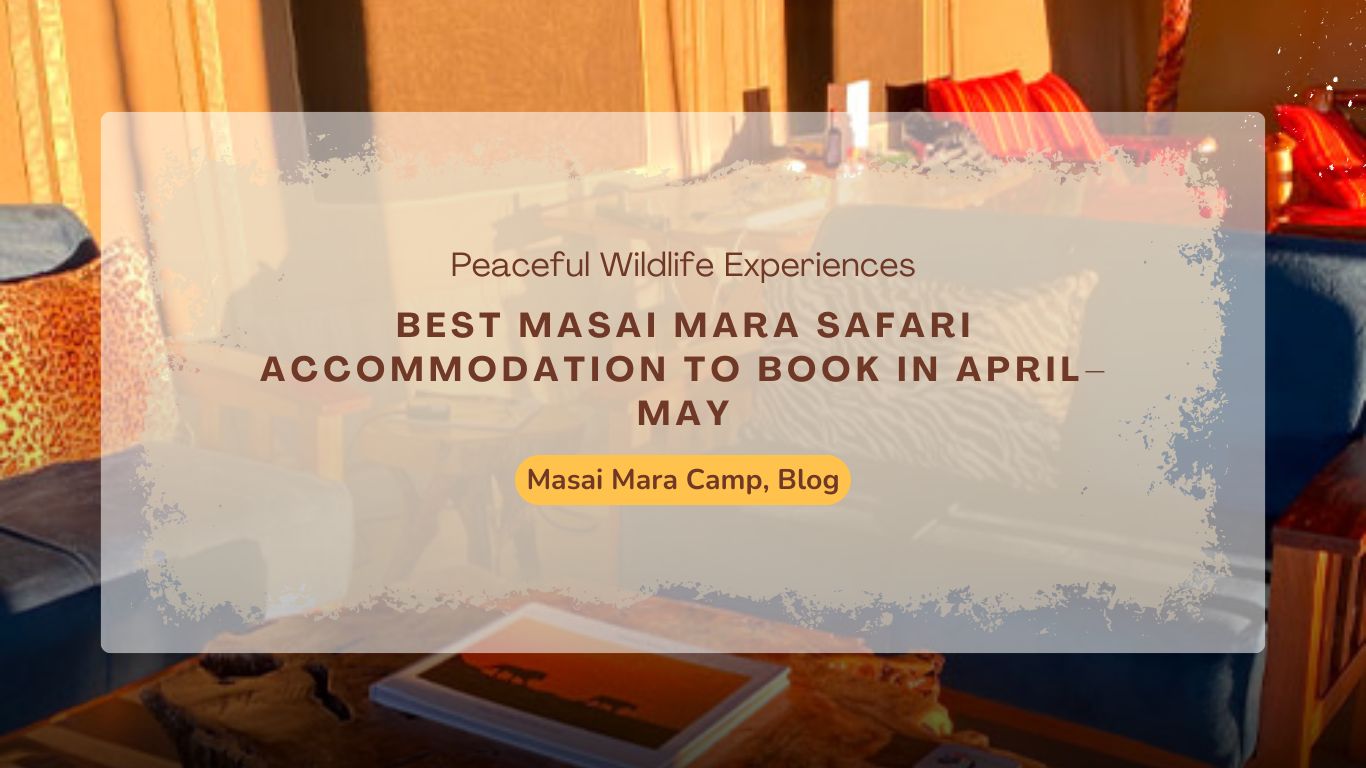 best-masai-mara-safari-accommodation-to-book-in-april-may