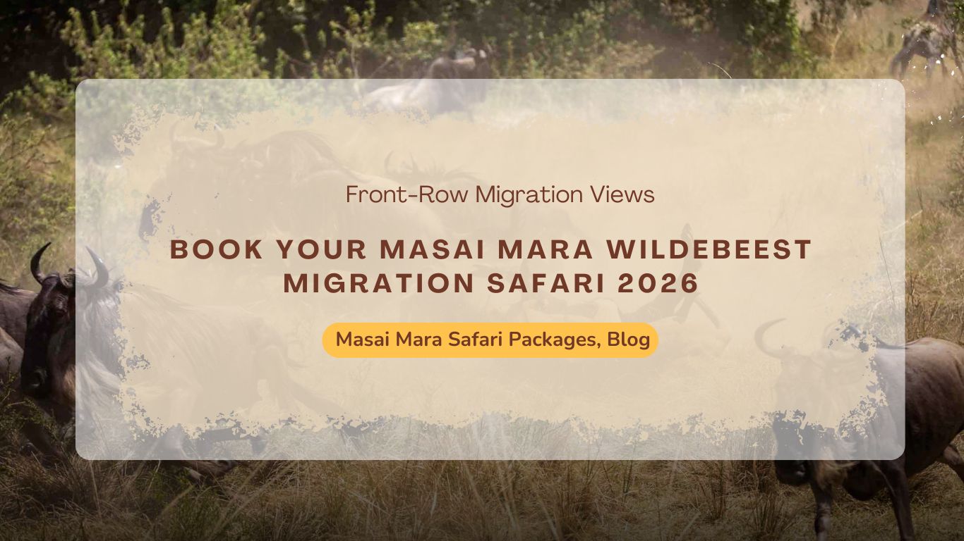 book-your-masai-mara-wildebeest-migration-safari-2026
