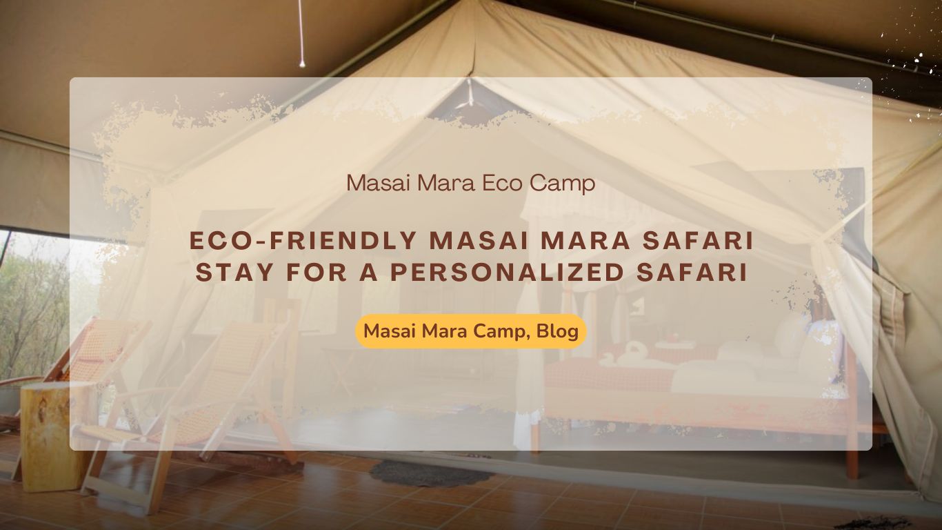 eco-friendly-masai-mara-safari-stay-for-a-personalized-safari