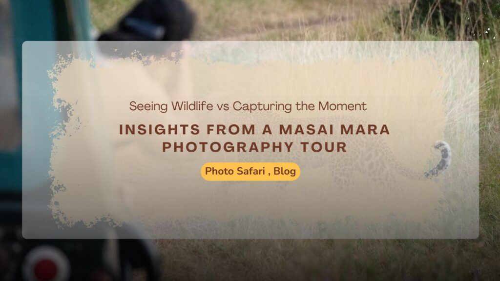 insights-from-a-masai-mara-photography-tour