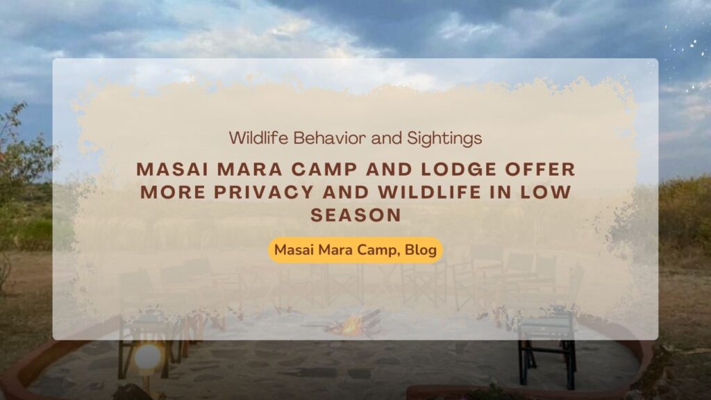 masai-mara-camp-and-lodge-offer-more-privacy-and-wildlife-in-low-season