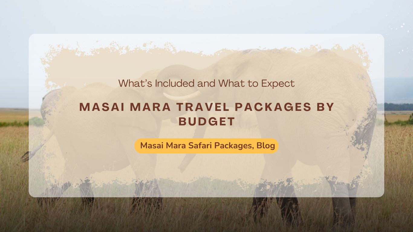 masai-mara-travel-packages-by-budget